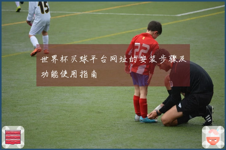 世界杯买球平台网址的安装步骤及功能使用指南